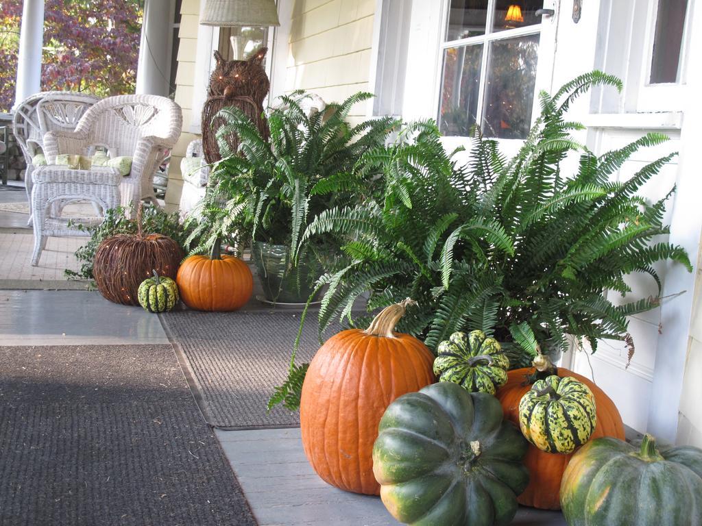 Hilltop House Bed & Breakfast Amenia Exterior foto